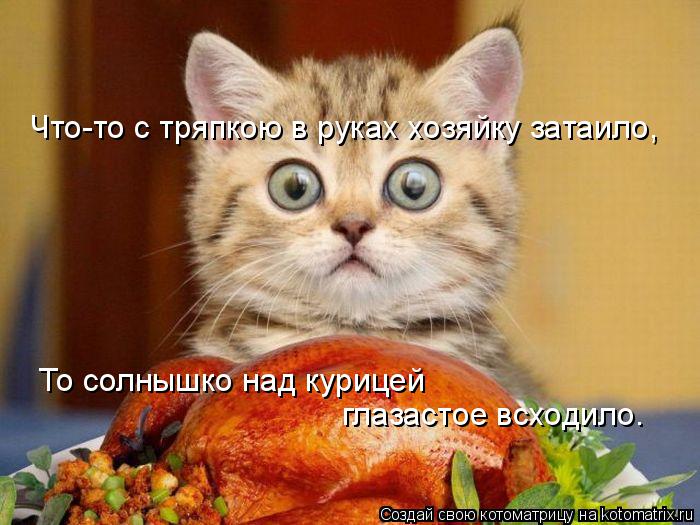 Котоматрица: Что-то с тряпкою в руках хозяйку затаило,   То солнышко над курицей  глазастое всходило.
