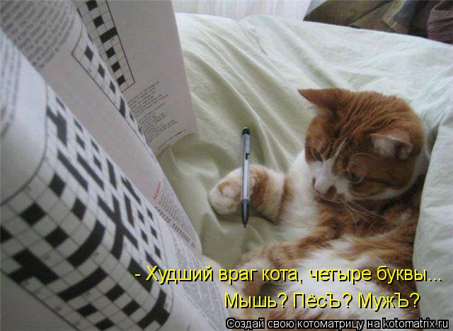 Котоматрица: - Худший враг кота, четыре буквы... Мышь? ПёсЪ? МужЪ?