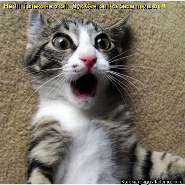 Котоматрица: Нет!!! Только не это!!! Дух Святой Колбасы пришёл!!!