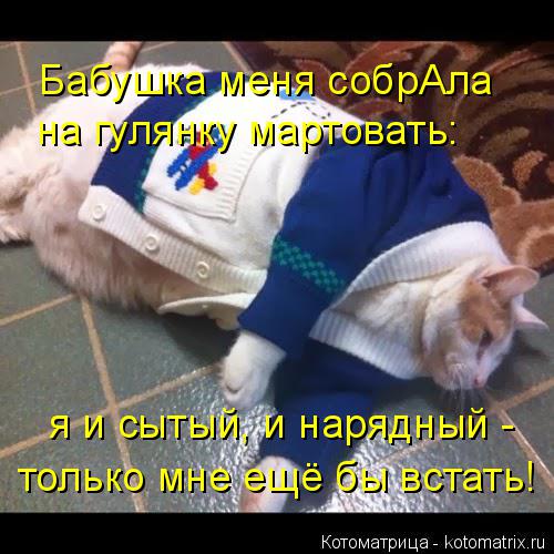 Котоматрица: Бабушка меня собрАла на гулянку мартовать: я и сытый, и нарядный -  только мне ещё бы встать!