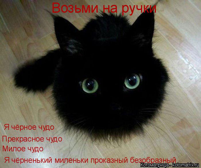 Я чёрное чудо Прекрасное чудо Милое чудо Я чёрненький миленьки проказный безобразный Возьми на ручки... Котоматрица: Я чёрное чудо Прекрасное чудо Милое чудо Я чёрненький миленьки проказный безобразный Возьми на ручки