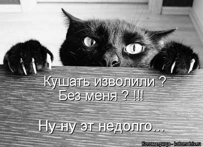 Котоматрица: Кушать изволили ? Без меня ? !!! Ну-ну эт недолго...