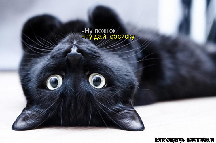 Котоматрица: -Ну дай  сосиску  -Ну пожжж