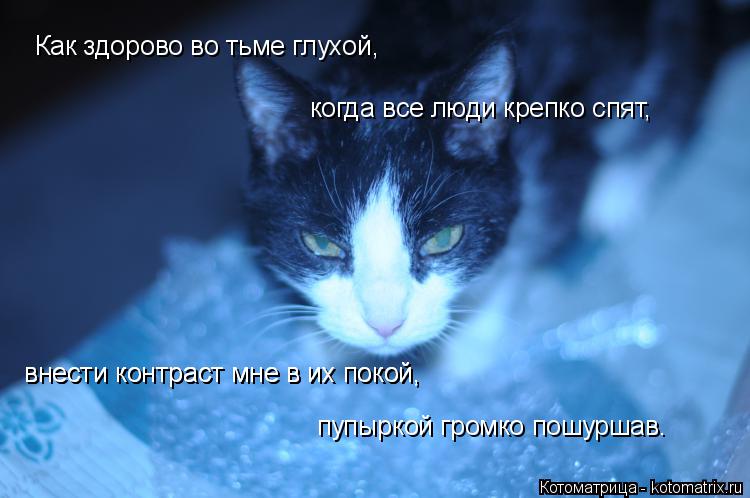 Котоматрица: Как здорово во тьме глухой, когда все люди крепко спят, внести контраст мне в их покой, внести контраст мне в их покой, пупыркой громко пошур