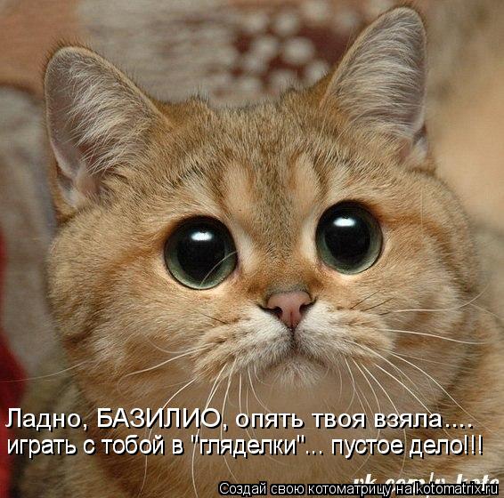 Котоматрица: Ладно, БАЗИЛИО, опять твоя взяла.... играть с тобой в "гляделки"... пустое дело!!! играть с тобой в "гляделки"... пустое дело!!!