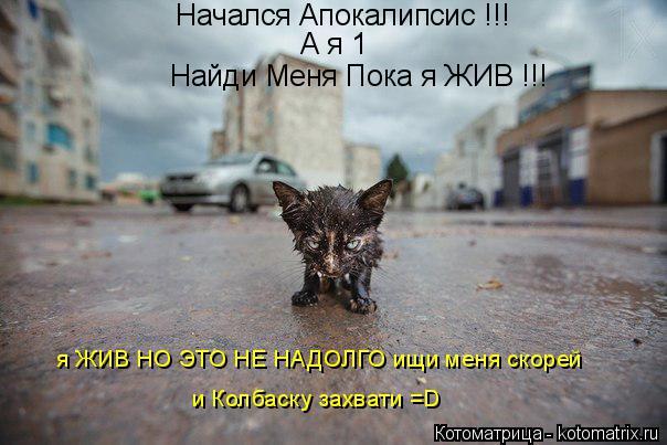 Котоматрица: Начался Апокалипсис !!! А я 1 Найди Меня Пока я ЖИВ !!! я ЖИВ НО ЭТО НЕ НАДОЛГО ищи меня скорей и Колбаску захвати =D