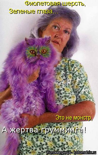 Котоматрица: Фиолетовая шерсть, Зеленые глаза… Это не монстр, А жертва грумминга!