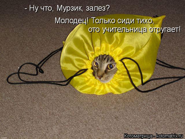 - Ну что, Мурзик, залез? Молодец! Только сиди тихо, ото учительница отругает!... Котоматрица: - Ну что, Мурзик, залез? Молодец! Только сиди тихо, ото учительница отругает!