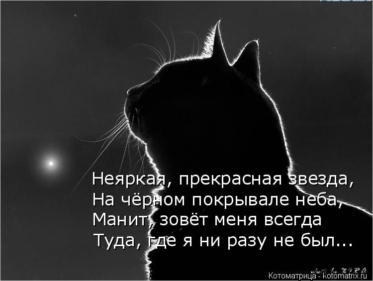 Неяркая, прекрасная звезда, Туда, где я ни разу не был... Манит, зовёт меня всегда На чёрном покрывал... Котоматрица: Неяркая, прекрасная звезда, Туда, где я ни разу не был... Манит, зовёт меня всегда На чёрном покрывале неба,