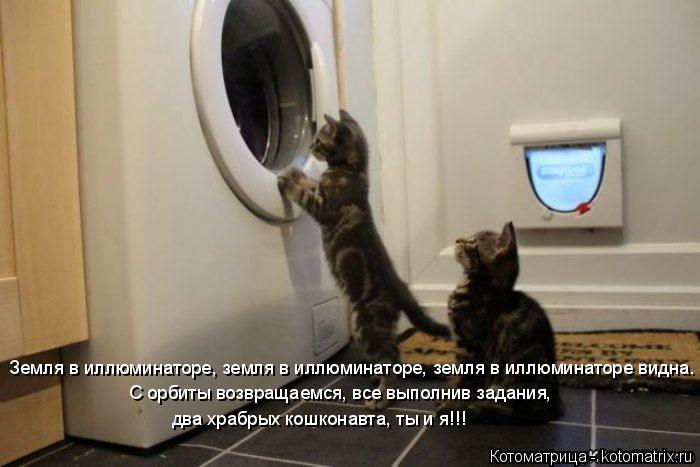 Котоматрица: Земля в иллюминаторе, земля в иллюминаторе, земля в иллюминаторе видна. С орбиты возвращаемся, все выполнив задания,  два храбрых кошконавт