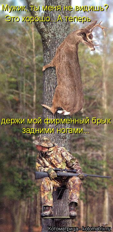 Котоматрица: Мужик, ты меня не видишь?  Это хорошо...А теперь задними ногами... держи мой фирменный брык