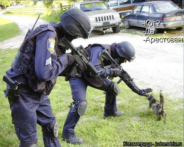 -Кот? -Да -Арестован... Котоматрица: -Кот? -Да -Арестован