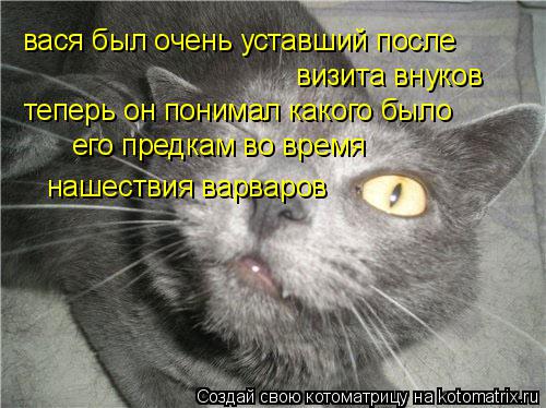 Котоматрица: вася был очень уставший после визита внуков теперь он понимал какого было его предкам во время  нашествия варваров