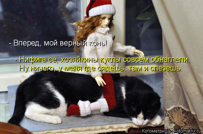 Котоматрица: - Вперед, мой верный конь! - Нифига се, хозяйкины куклы совсем обнаглели. Ну ничего, у меня где сядешь, там и слезешь.