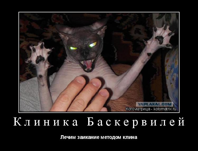 Клиника Баскервилей Лечим заикание методом клина... Котоматрица: Клиника Баскервилей Лечим заикание методом клина