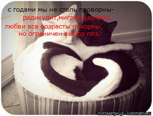 с годами мы не столь проворны- радикулит,мигрень,артроз. любви все возрасты покорны, но ограничен выб... Котоматрица: с годами мы не столь проворны- радикулит,мигрень,артроз. любви все возрасты покорны, но ограничен выбор поз.