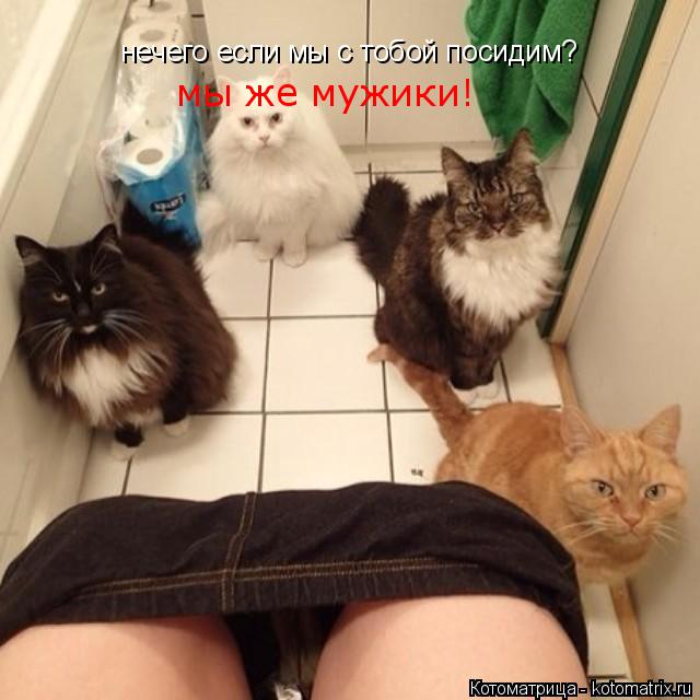 нечего если мы с тобой посидим? мы же мужики!... Котоматрица: нечего если мы с тобой посидим? мы же мужики!