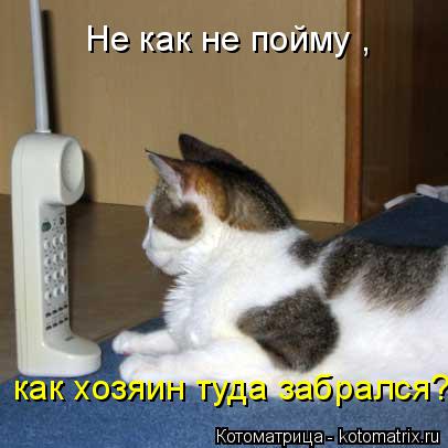 Не как не пойму , как хозяин туда забрался?... Котоматрица: Не как не пойму , как хозяин туда забрался?