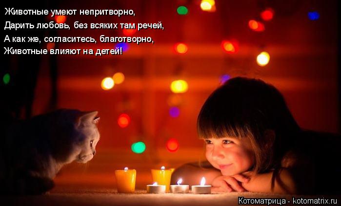 Животные влияют на детей! А как же, согласитесь, благотворно, Дарить любовь, без всяких там речей, Жи... Котоматрица: Животные влияют на детей! А как же, согласитесь, благотворно, Дарить любовь, без всяких там речей, Животные умеют непритворно,
