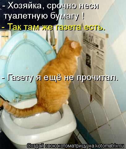 - Хозяйка, срочно неси туалетную бумагу ! - Газету я ещё не прочитал. - Так там же газета есть.... Котоматрица: - Хозяйка, срочно неси туалетную бумагу ! - Газету я ещё не прочитал. - Так там же газета есть.