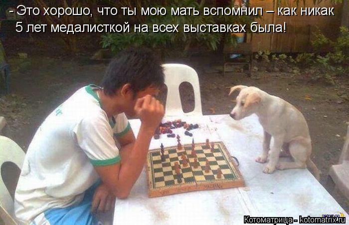 - Это хорошо, что ты мою мать вспомнил – как никак 5 лет медалисткой на всех выставках была!... Котоматрица: - Это хорошо, что ты мою мать вспомнил – как никак 5 лет медалисткой на всех выставках была!