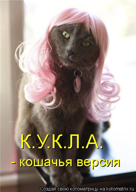 К.У.К.Л.А. - кошачья версия... Котоматрица: К.У.К.Л.А. - кошачья версия