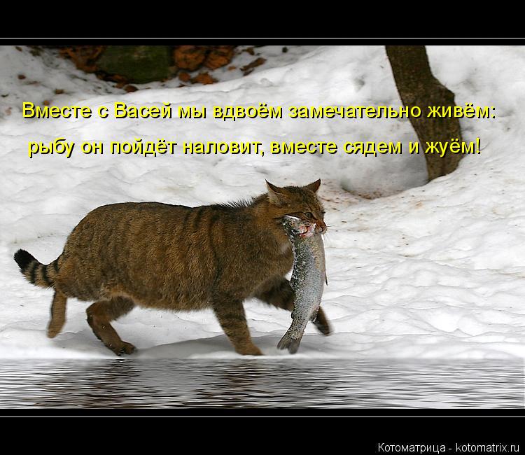 Вместе с Васей мы вдвоём замечательно живём: рыбу он пойдёт наловит, вместе сядем и жуём!... Котоматрица: Вместе с Васей мы вдвоём замечательно живём: рыбу он пойдёт наловит, вместе сядем и жуём!