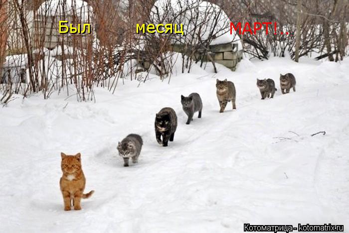 месяц МАРТ!.. Был... Котоматрица: месяц МАРТ!.. Был