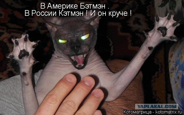 В Америке Бэтмэн . В России Кэтмэн ! И он круче !... Котоматрица: В Америке Бэтмэн . В России Кэтмэн ! И он круче !