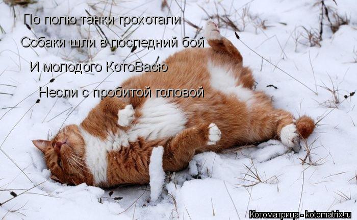 Котоматрица: По полю танки грохотали Собаки шли в последний бой И молодого КотоВасю Несли с пробитой головой
