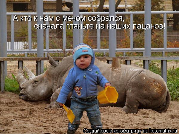 Котоматрица: А кто к нам с мечом собрался,  сначала гляньте на наших пацанов!