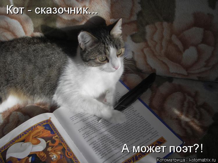 Кот - сказочник... А может поэт?!... Котоматрица: Кот - сказочник... А может поэт?!