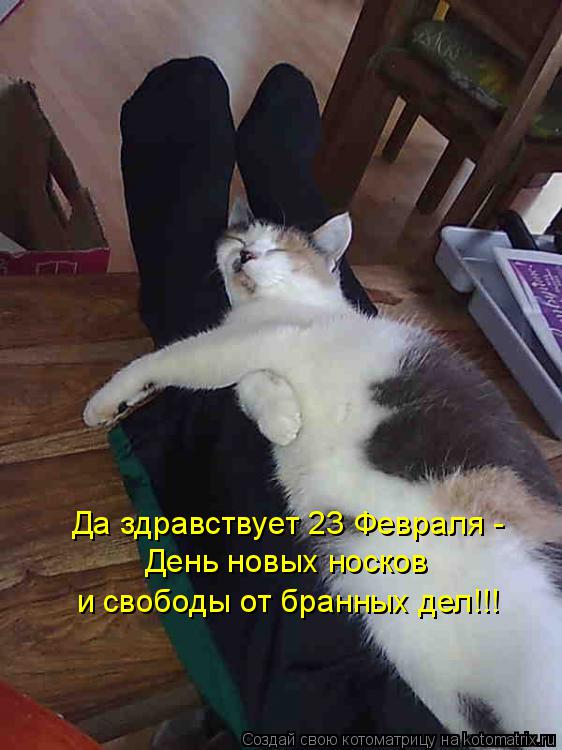 Котоматрица: Да здравствует 23 Февраля - День новых носков и свободы от бранных дел!!!