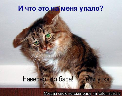И что это на меня упало? И что это на меня упало? Наверно, колбаса! ...или утюг...... Котоматрица: И что это на меня упало? И что это на меня упало? Наверно, колбаса! ...или утюг...