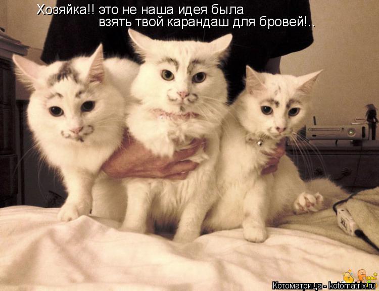 Хозяйка!! это не наша идея была взять твой карандаш для бровей!..... Котоматрица: Хозяйка!! это не наша идея была взять твой карандаш для бровей!..