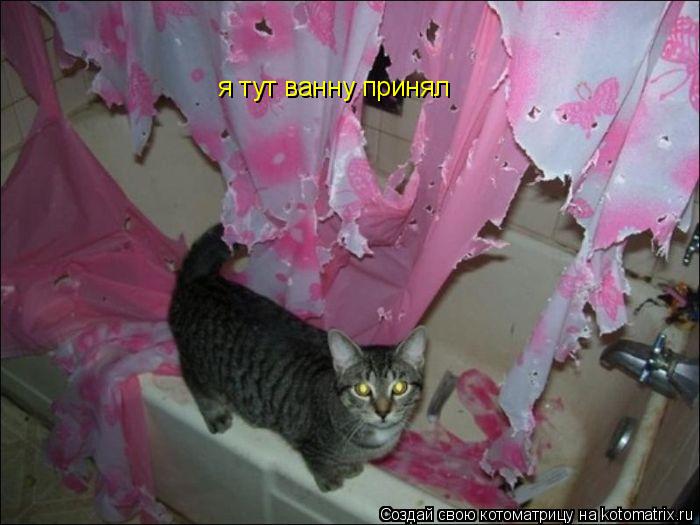 я тут ванну принял... Котоматрица: я тут ванну принял