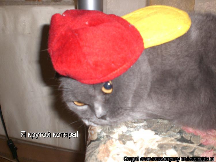 Котоматрица: Я крутой котяра!