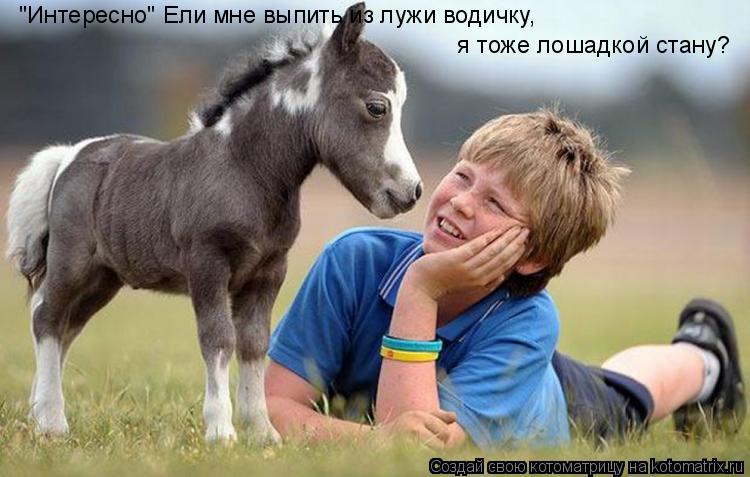 "Интересно" Ели мне выпить из лужи водичку, я тоже лошадкой стану?... Котоматрица: "Интересно" Ели мне выпить из лужи водичку, я тоже лошадкой стану?