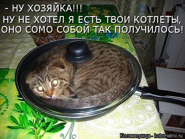 Котоматрица: - НУ ХОЗЯЙКА!!! НУ НЕ ХОТЕЛ Я ЕСТЬ ТВОИ КОТЛЕТЫ ОНО СОМО СОБОЙ ТАК ПОЛУЧИЛОСЬ! ,