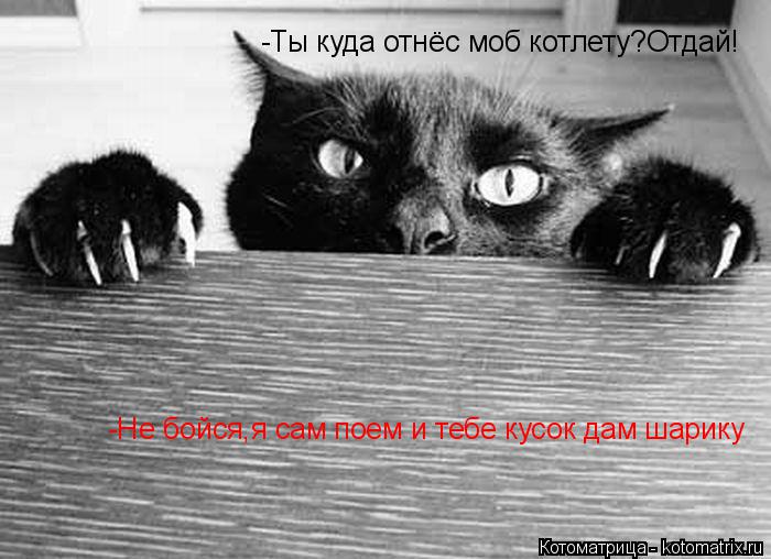 -Ты куда отнёс моб котлету?Отдай! -Не бойся,я сам поем и тебе кусок дам шарику... Котоматрица: -Ты куда отнёс моб котлету?Отдай! -Не бойся,я сам поем и тебе кусок дам шарику