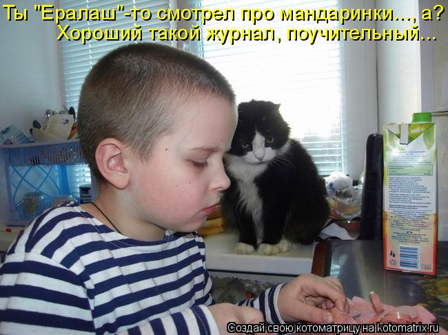 Ты "Ералаш"-то смотрел про мандаринки..., а? Хороший такой журнал, поучительный...... Котоматрица: Ты "Ералаш"-то смотрел про мандаринки..., а? Хороший такой журнал, поучительный...