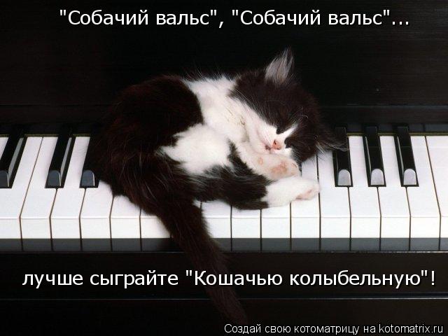 Котоматрица: "Собачий вальс", "Собачий вальс"... лучше сыграйте "Кошачью колыбельную"!
