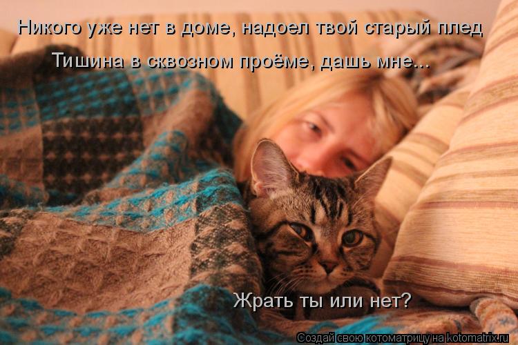 Котоматрица: Никого уже нет в доме, надоел твой старый плед Тишина в сквозном проёме, дашь мне... Жрать ты или нет?