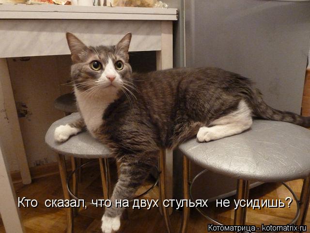 Кто сказал, что на двух стульях не усидишь?... Котоматрица: Кто сказал, что на двух стульях не усидишь?
