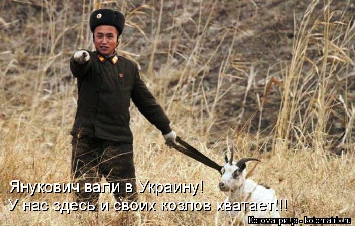 Янукович вали в Украину! У нас здесь и своих козлов хватает!!!... Котоматрица: Янукович вали в Украину! У нас здесь и своих козлов хватает!!!