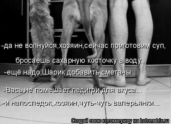 -да не волнуйся,хозяин,сейчас приготовим суп, бросаешь сахарную косточку в воду... -ещё надо,Шарик до... Котоматрица: -да не волнуйся,хозяин,сейчас приготовим суп, бросаешь сахарную косточку в воду... -ещё надо,Шарик добавить сметаны... -Вась,не помешает педиг