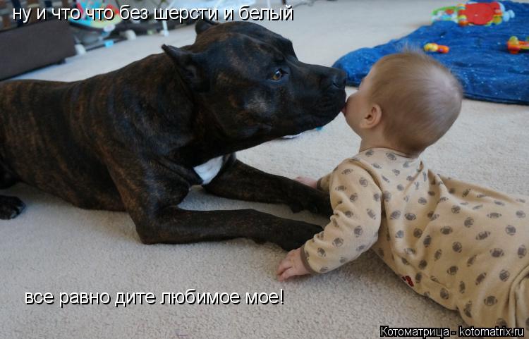 ну и что что без шерсти и белый все равно дите любимое мое!... Котоматрица: ну и что что без шерсти и белый все равно дите любимое мое!