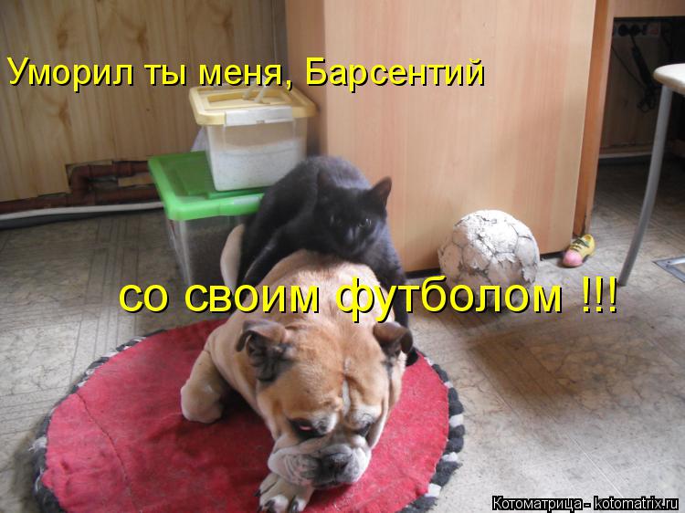 Уморил ты меня, Барсентий со своим футболом !!!... Котоматрица: Уморил ты меня, Барсентий со своим футболом !!!