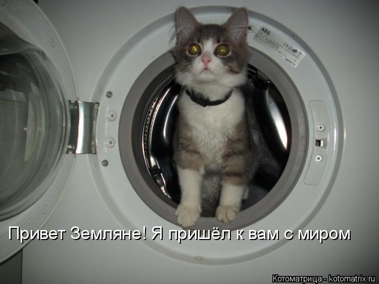 Привет Земляне! Я пришёл к вам с миром... Котоматрица: Привет Земляне! Я пришёл к вам с миром