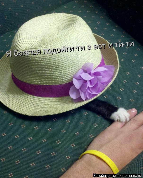 Котоматрица: Я боялся подойти-ти а вот и ти-ти